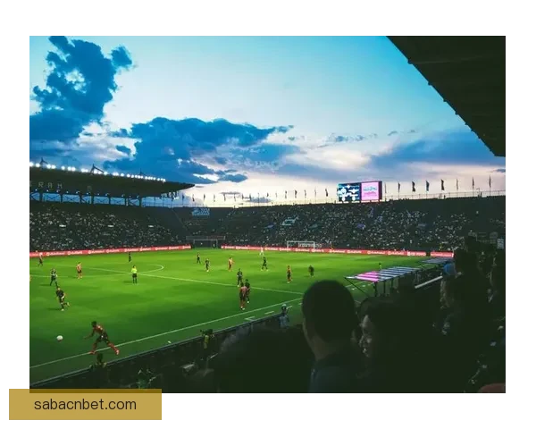 2026世界杯直播网站全程在线免费观看全球赛事精彩瞬间